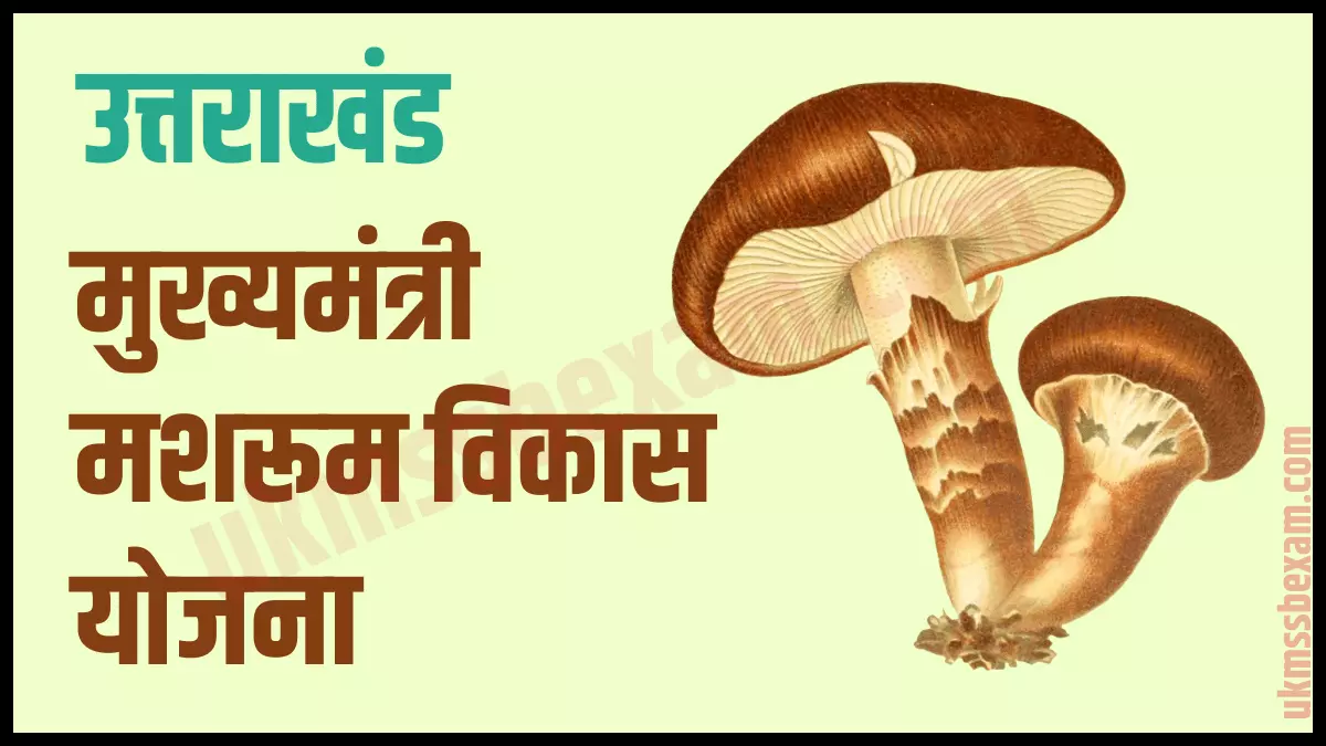 Benefits of Mukhymantri Mushroom Vikas Yojana 2023