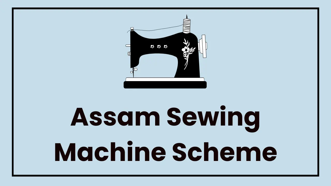 2024 Machine sewing of any 